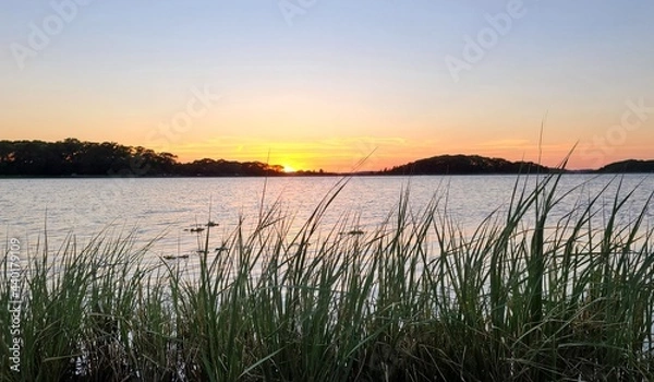 Obraz Sea grass sunset