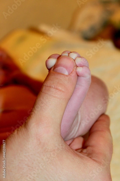 Obraz baby feet in bed