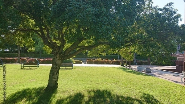 Obraz park in the park