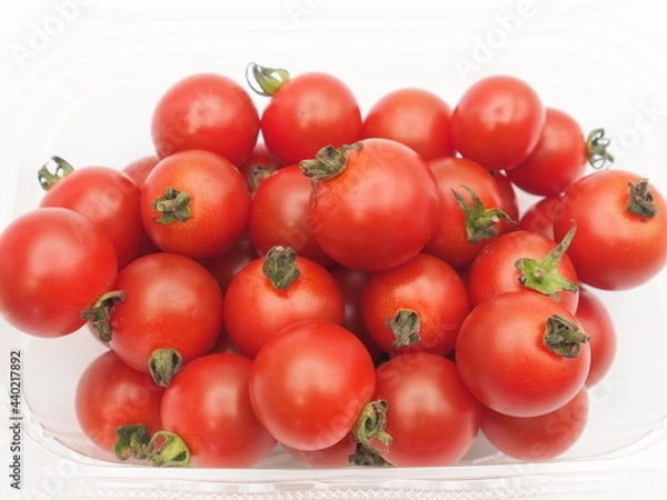 Obraz 山盛りトマト