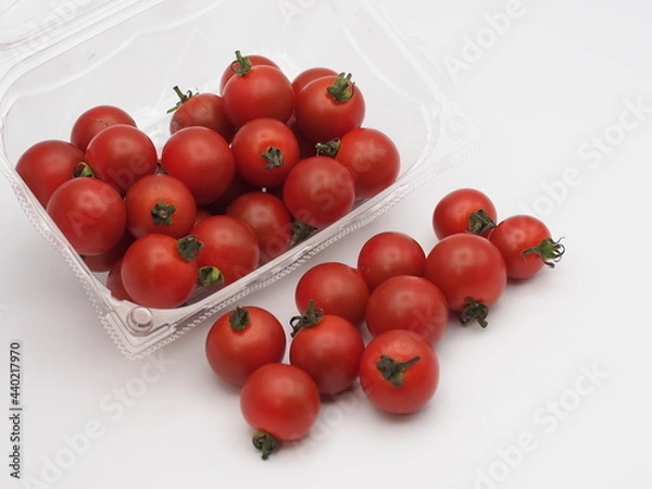 Obraz 山盛りトマト