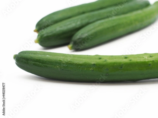 Fototapeta キュウリのアップ