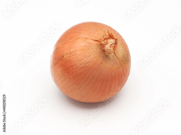 Obraz 北海道産玉ねぎ