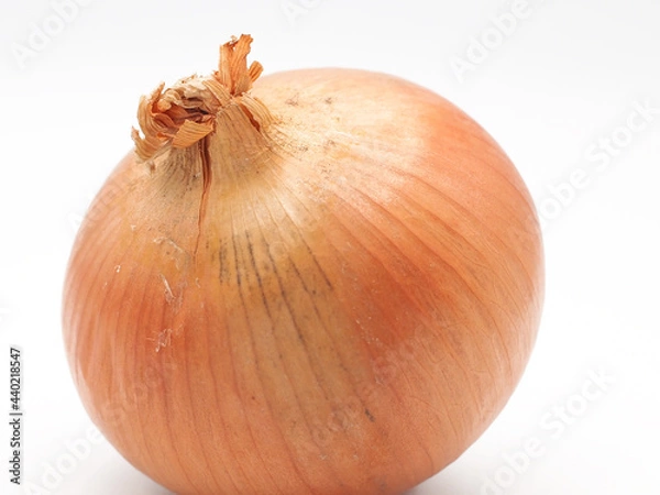 Obraz 北海道産玉ねぎ