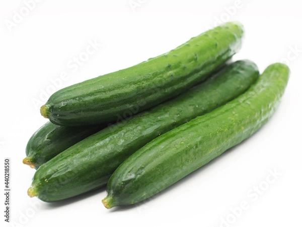Obraz ツヤツヤきゅうり