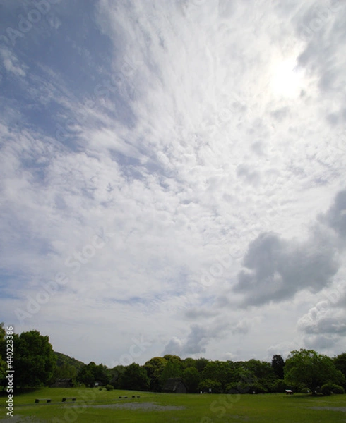 Obraz 空に広がる明るい雲と緑の公園