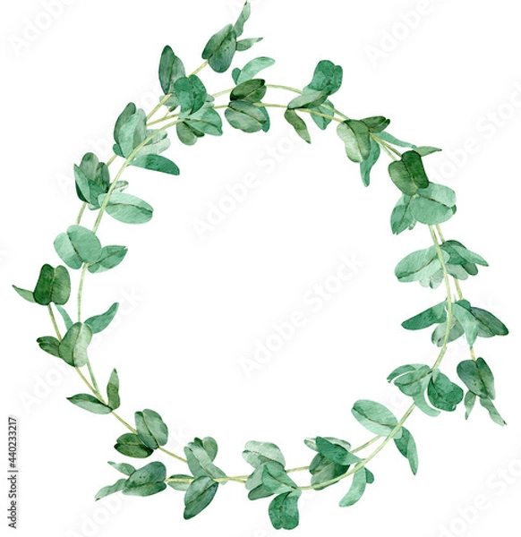 Fototapeta Watercolor round frame of eucalyptus branches. Hand-drawn greenery illustration. Template for your text.