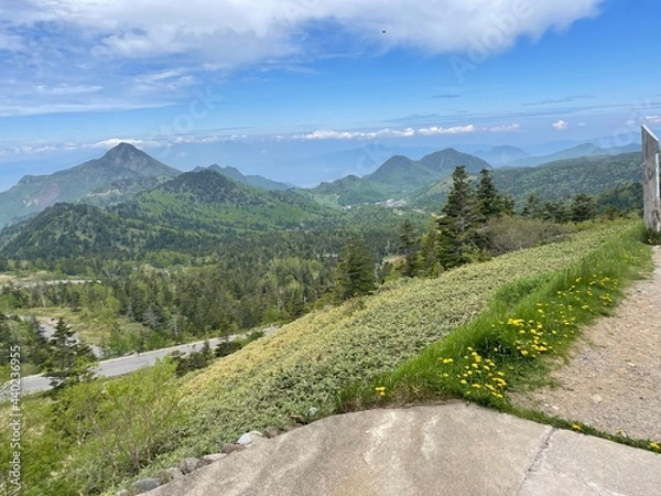 Obraz 高原の景色