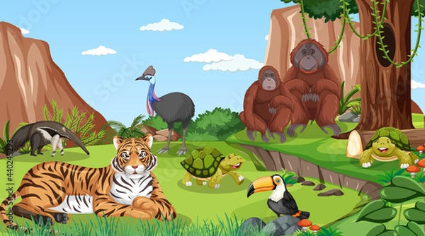 Fototapeta A tiger with otther wild animals in forest scene