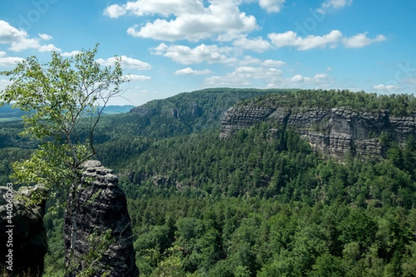 Fototapeta View of the surroundings from the Pravčická gate in Bohemian Switzerland.