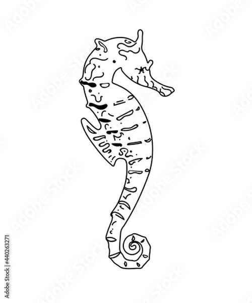 Obraz Vector lines seahorse. Outline sea animal element  for use in packaging design, web and mobile applications.