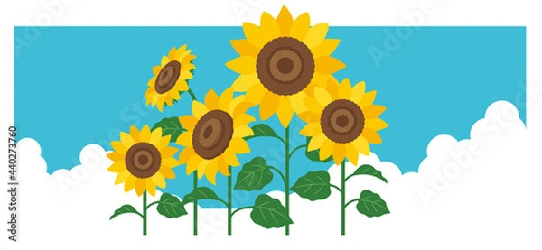 Fototapeta ひまわりと空のイラスト素材