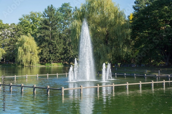 Fototapeta 公園の池の中の噴水
