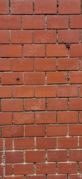 Obraz Steinmauer