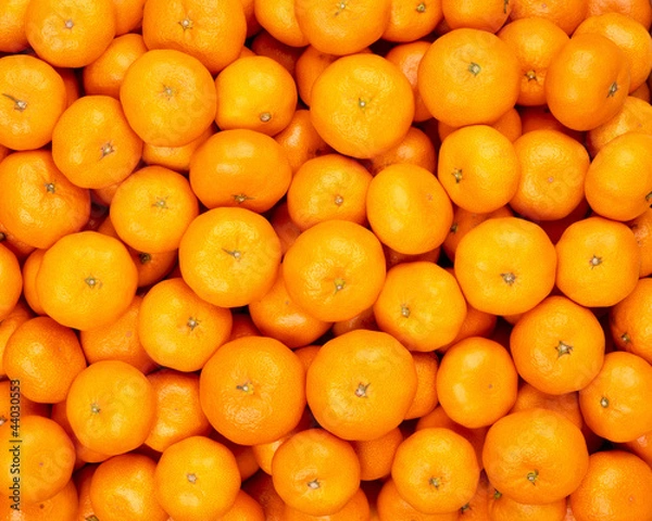 Obraz 温州ミカン