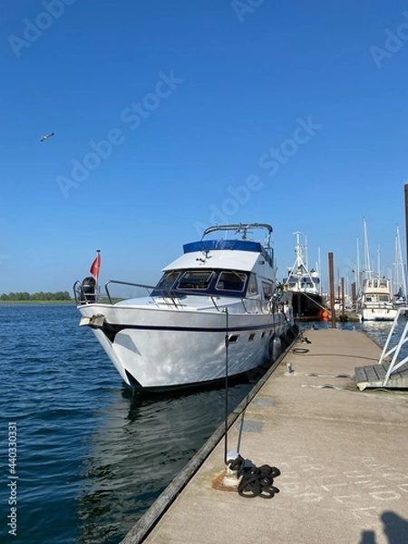 Fototapeta pier at sunset
