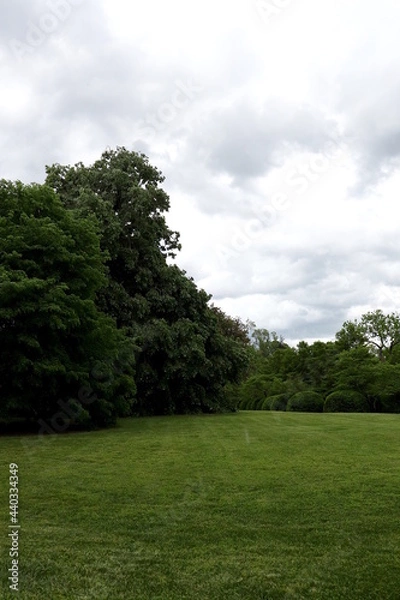 Obraz Clouds, Green Grass, Shrubs, Trees