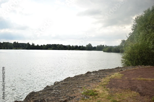 Obraz vu sur l'étang