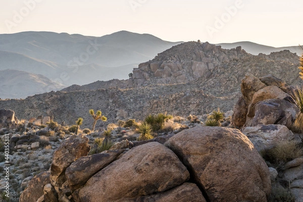 Fototapeta Early morning in Joshua Tree National Park