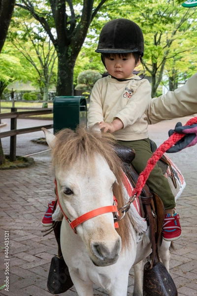 Obraz 乗馬体験をする男の子