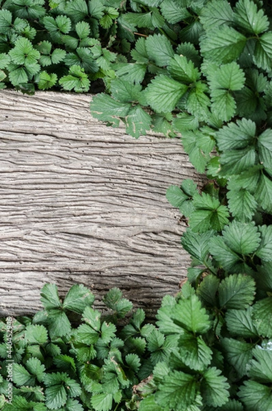 Obraz brick  footpath