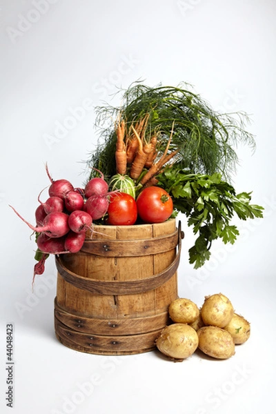 Obraz organic vegetables