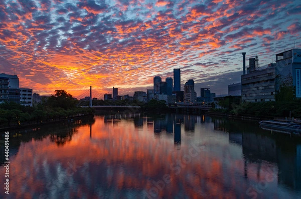 Fototapeta 朱い朝