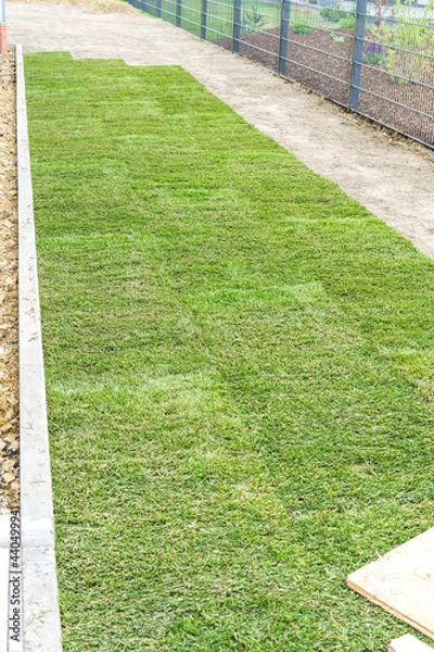 Fototapeta Rollrasen 