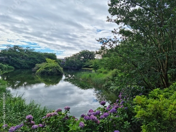 Obraz landscape with lake and trees