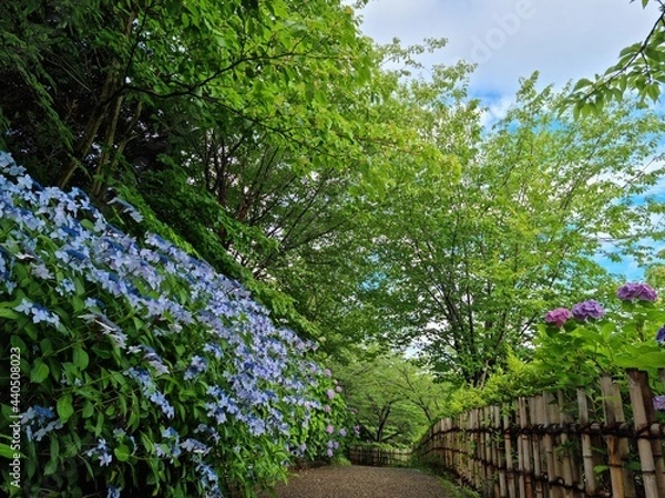 Obraz spring in the garden