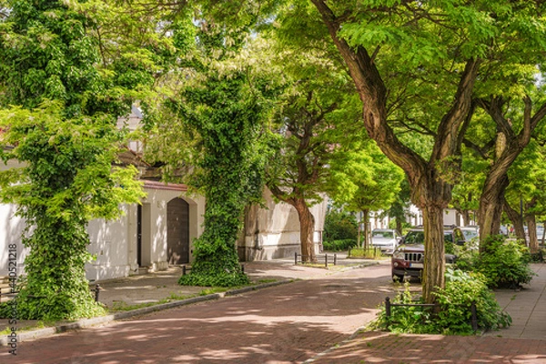 Fototapeta Piękna uliczka miejska w słoneczny dzień