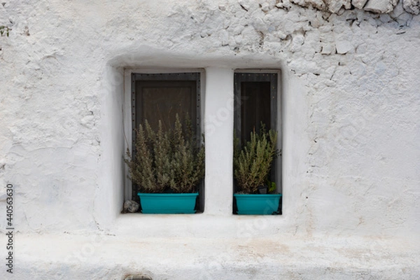 Fototapeta Hydra Windsill