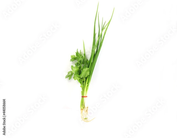 Obraz Onion, celery.