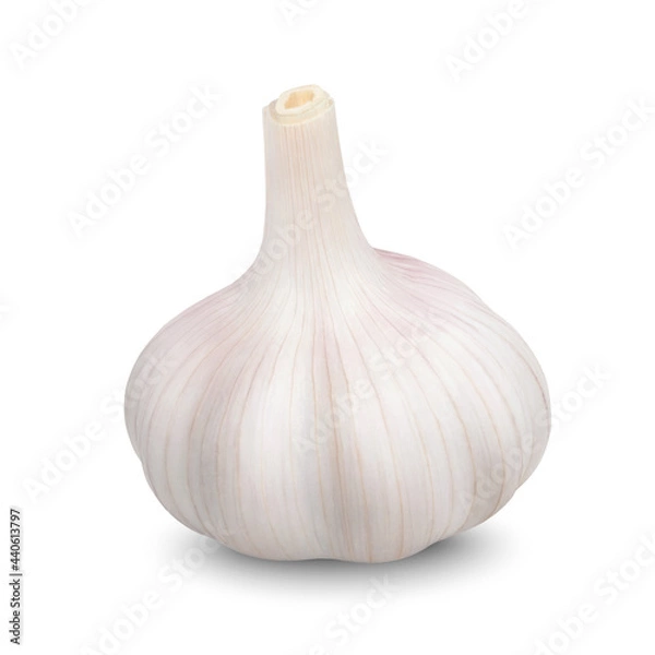 Fototapeta Realistic garlic. Head of dried garlic isolated on white background. Vector 3D illustration.