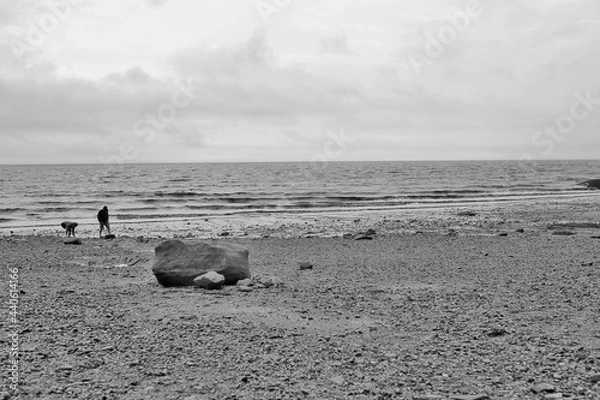 Obraz stone one the beach