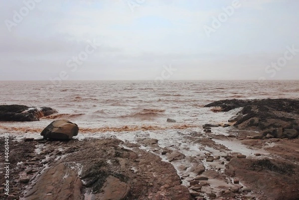 Obraz rocks on the beach