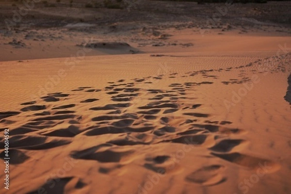 Obraz footprints on the sand