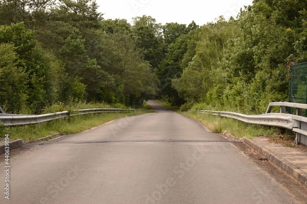 Fototapeta Route de campagne qui traverse une forêt avec la présence de nombreux arbres