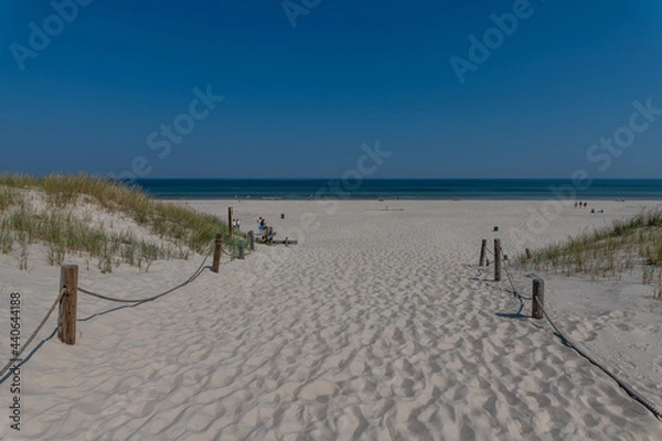 Obraz sand dunes and beach