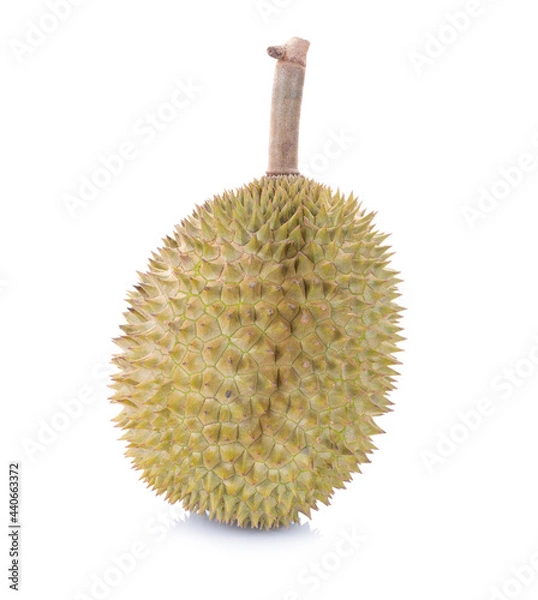 Fototapeta Durian isolated on over white background