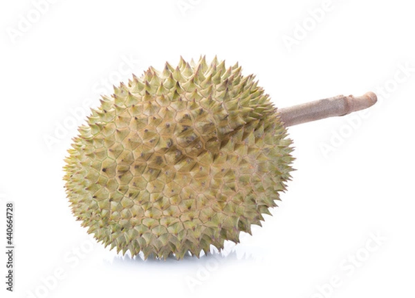 Fototapeta Durian isolated on over white background