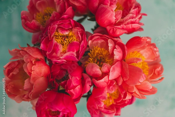 Obraz closeup of coral peonies with turquoise background