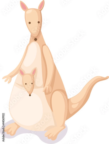 Fototapeta Kangaroo