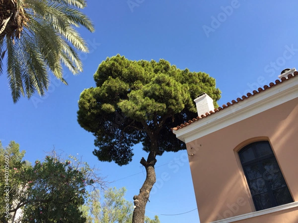 Fototapeta The Foundation of Rizareios Ecclesiastical School is a foundation located in Rizari Park in Athens, Greece