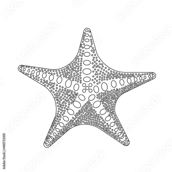 Obraz line art silhouette of a black starfish on a white background. vector illustration. close-up, isolated, marine life, sea animal