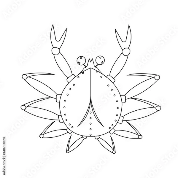 Obraz line art black color crab close up isolated on white background, vector illustration, claws and tentacles