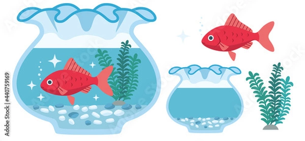 Obraz 金魚（和金）と金魚鉢のイラスト素材