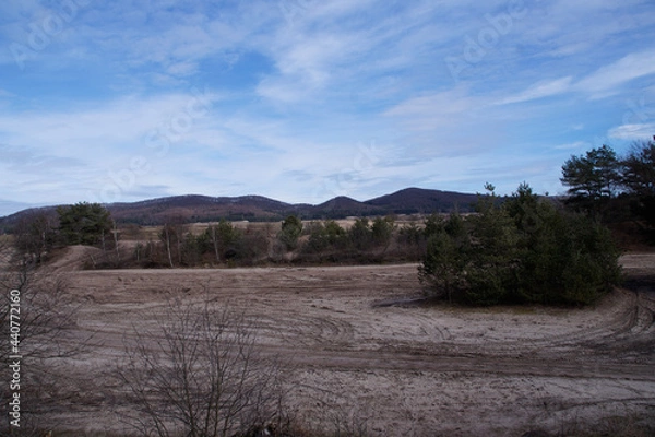 Obraz forest in the mountains