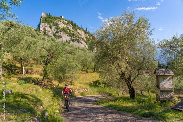 Fototapeta nice and active senior woman riding her electric mountain bike in the Garda lake mountains between blooming the olive groves of Arco close to Riva del Garda and Garda Lake , Landscape