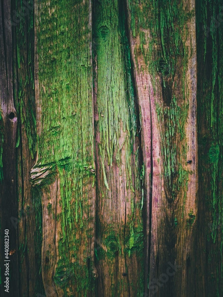 Obraz green wood texture